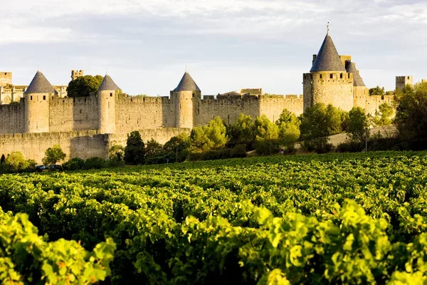 cite-de-carcassonne